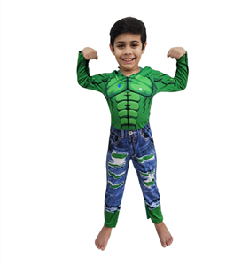  Fantasia Infantil do hulk