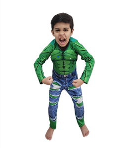  Fantasia Infantil do hulk